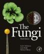 Fungi - Preview