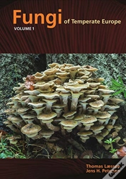 Capa do artigo Fungi Of Temperate Europe