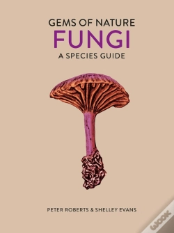 Capa do artigo Fungi