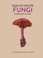 Fungi - Preview