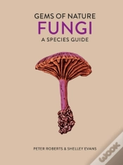 Capa do artigo Fungi