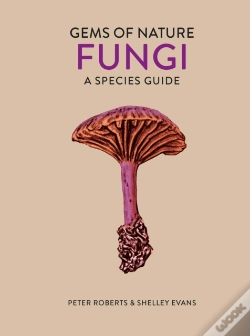 Capa do artigo Fungi