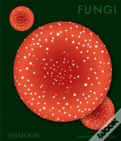 Capa do artigo Fungi