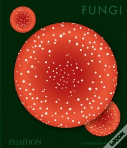 Capa do artigo Fungi