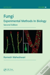 Capa do artigo Fungi