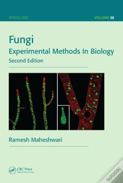 Capa do artigo Fungi