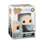 Funko Pop! TV - The Witcher #1317 Geralt - Preview