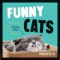 Funny Cats - Preview