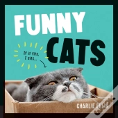 Funny Cats