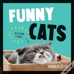 Capa do artigo Funny Cats