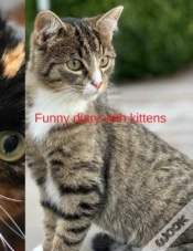 Capa do artigo Funny Diary With Kittens