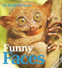 Capa do artigo Funny Faces