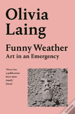 Capa do artigo Funny Weather