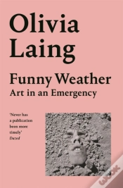 Capa do artigo Funny Weather