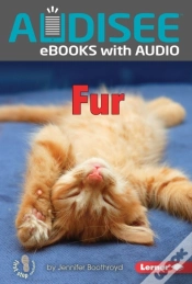 Capa do artigo Fur