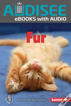 Capa do artigo Fur
