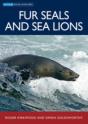 Fur Seals And Sea Lions - Preview