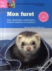 Capa do artigo Furet (Mon)