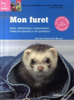 Capa do artigo Furet (Mon)