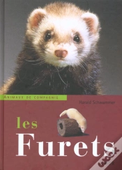 Capa do artigo Furets