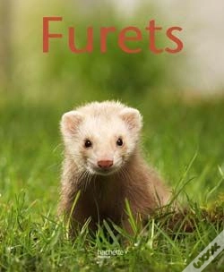 Capa do artigo Furets
