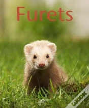 Capa do artigo Furets