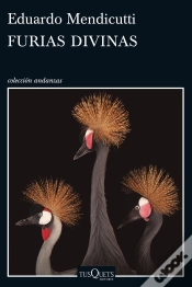 Capa do artigo Furias Divinas