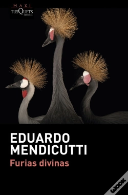 Capa do artigo Furias Divinas