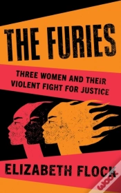 Capa do artigo Furies