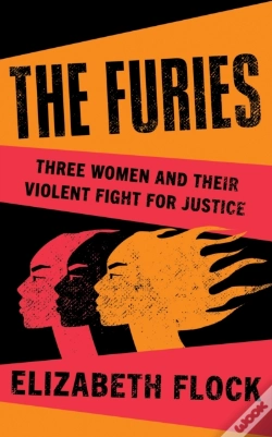 Capa do artigo Furies