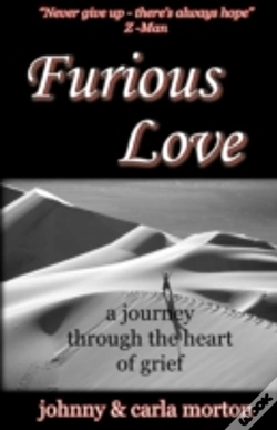 Capa do artigo Furious Love