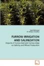 Furrow Irrigation And Salinization - Preview