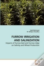 Furrow Irrigation And Salinization