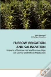 Capa do artigo Furrow Irrigation And Salinization