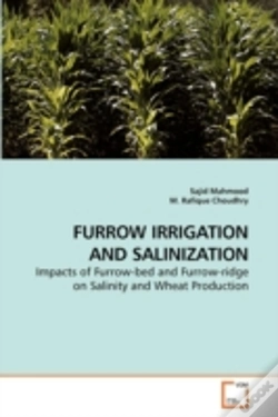 Capa do artigo Furrow Irrigation And Salinization