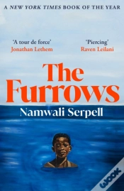 Capa do artigo Furrows