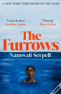 Capa do artigo Furrows