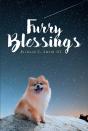 Furry Blessings - Preview