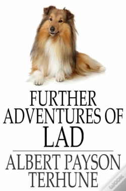 Capa do artigo Further Adventures Of Lad