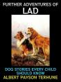 Further Adventures Of Lad - Preview