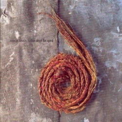 Capa do artigo Further Down The Spiral - CD