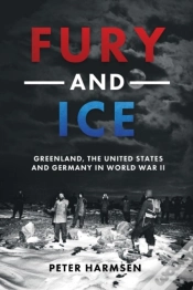 Capa do artigo Fury And Ice