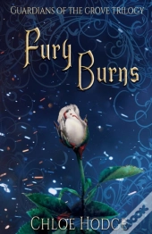 Fury Burns