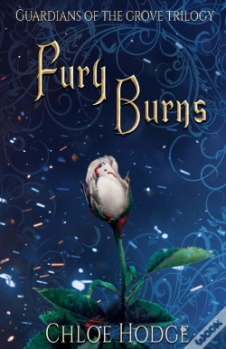 Capa do artigo Fury Burns