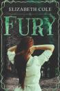 Fury - Preview