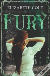 Capa do artigo Fury