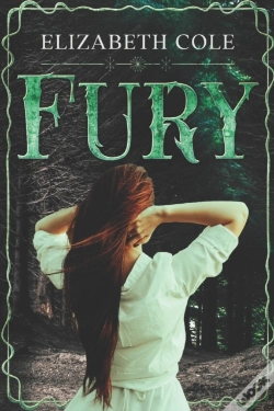 Capa do artigo Fury