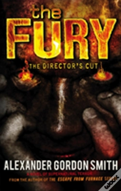 Capa do artigo Fury Directors Cut