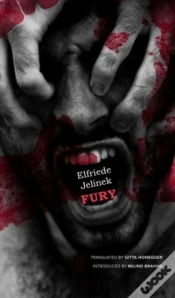 Capa do artigo Fury