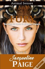Capa do artigo Fury